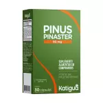 Pinus Pinaster - Katiguá 30c
