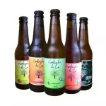 Kombucha da Cá - 365ml - Diversos