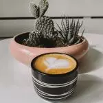 Cortado