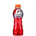 GATORADE PEQUEÑO