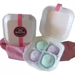 CAJA DE 8 MOCHIS