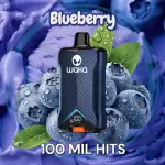 Blueberry