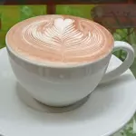 CHOCOLATE CLASICO