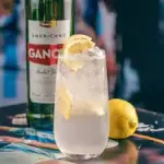 GANCIA BATIDO