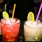 MOJITOS DE SABORES ron