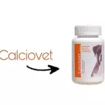 CALCIOVET