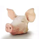 Cabeza de Cerdo Entera