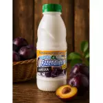 IOGURTE AMEIXA 500ML