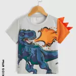 Niñito Camiseta IN