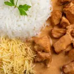 MTEX -STROGONOFF DE CARNE