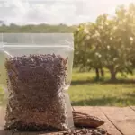 Nibs de cacao puro. 150 gramos