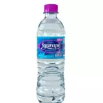 Água com gás (500ml)