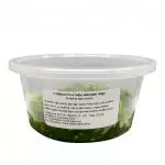 F-MARUKYO HIYASHI WAKAME 100gr.