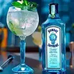gin tonic