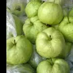 GUAYABA CHINA