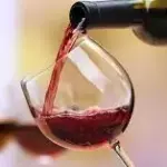 Vinho