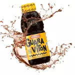 Guaravinton Ginseg 500ml