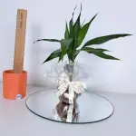 A423 Bambu da sorte "Sucesso"
