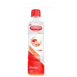 PEDIALYTE MAX ZINC MANZANA 60 500ML