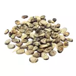 Emburana (Semente) 40g