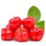 ACEROLA - PACOTE