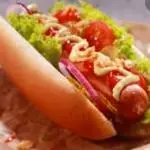 PERRO SENCILLO