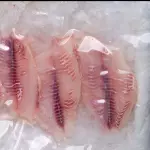 FILETE DE TILAPIA COMERCIAL