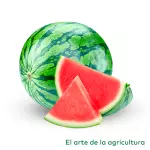 Sandia