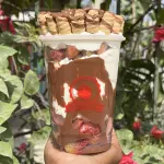 Strawberry barquillo de chocolate