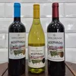 Vinhos Chilenos