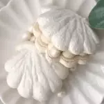 Macarons con formas especiales