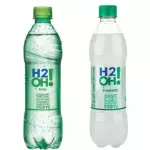 H2O