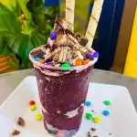 ICE TASTY KIDS NO COPO