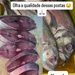 XAREU BRANCO KG