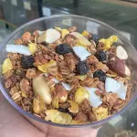 Granola premium