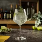 GIN TONIC