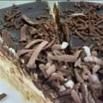 FATIAS DE TORTAS 10,00(FATIA)