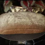 Canguru Bread (Australiano 450g)