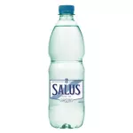 Salus 500