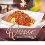 BOLOGNESA