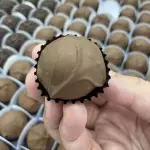 Doce coberto de café