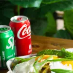 PICHANGA VEGETARIANA MEDIANA 13MIL