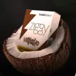 Zgy Coco