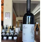 Bodegone - Teroldego