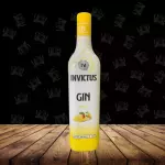 Gin Invictus Tropical 900ml
