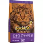 Special Cat Castrados