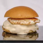 TWISTER BURGER