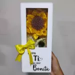 Sol en una cajita