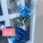 Botão de rosa azul