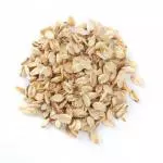 Avena